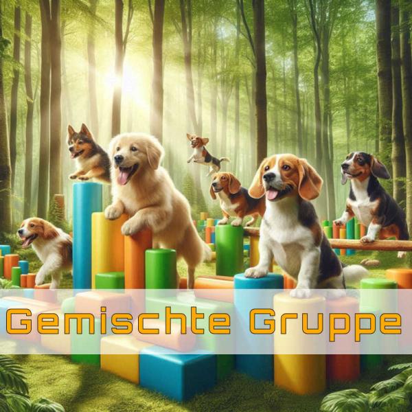 Gemischtes Gruppentraining - Wintertraining