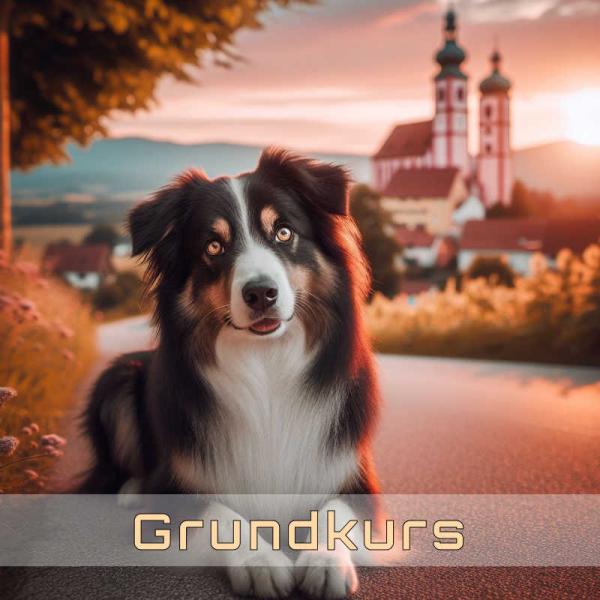 Grundkurs 2026-01