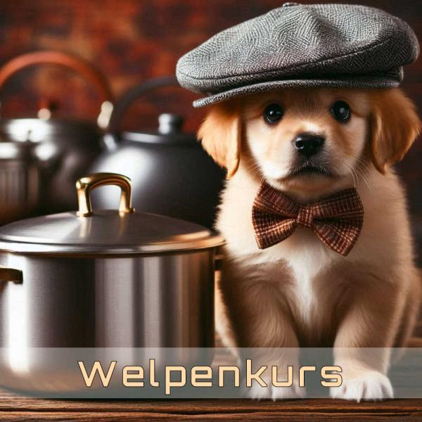 Welpen 09. Lebenswoche bis 16. Lebenswoche
