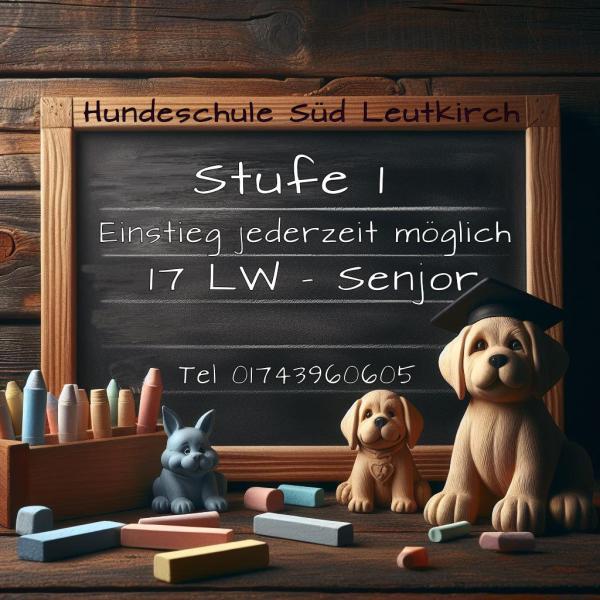 Gruppenkurs S1