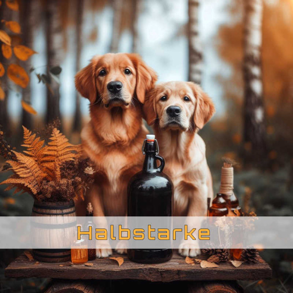 Halbstarke - Hunde ab dem 9. Lebensmonat
