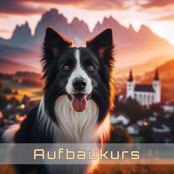 Aufbaukurs 2026-01