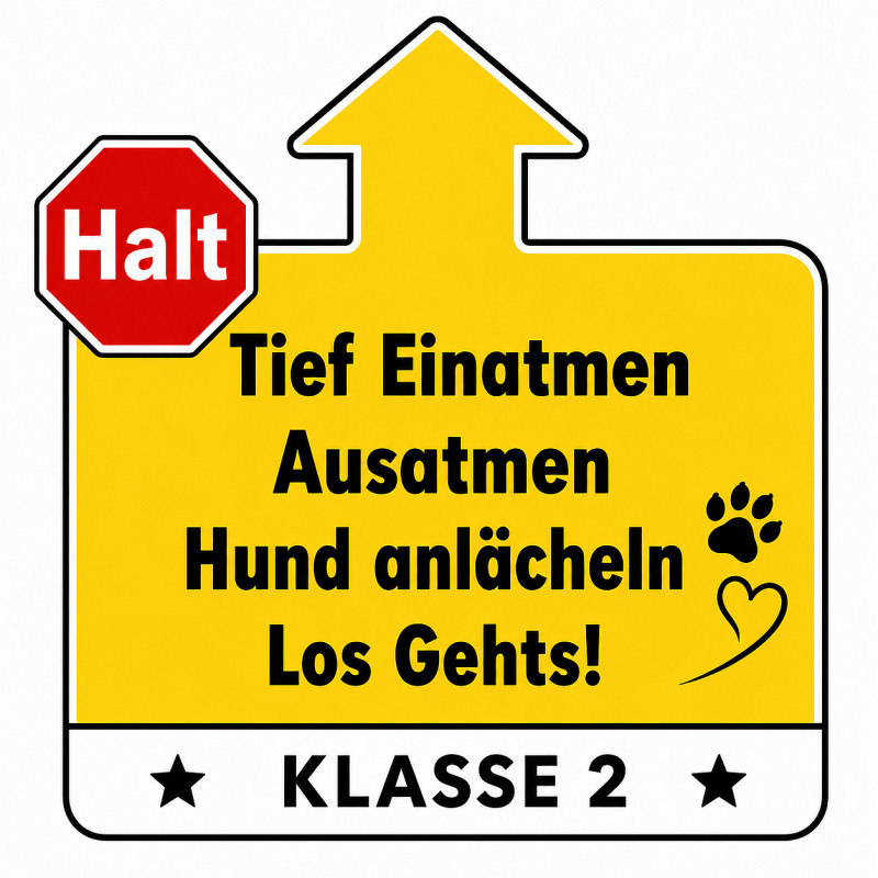Rally Obedience Intensiv-Wochenende – Dein Einstieg in die Klasse 2