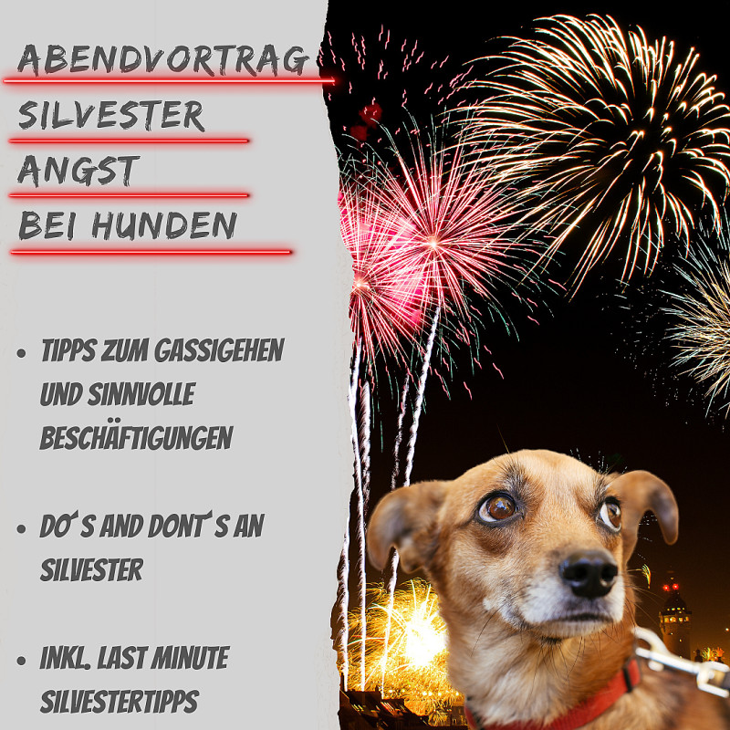 Webinar "Silvesterangst"