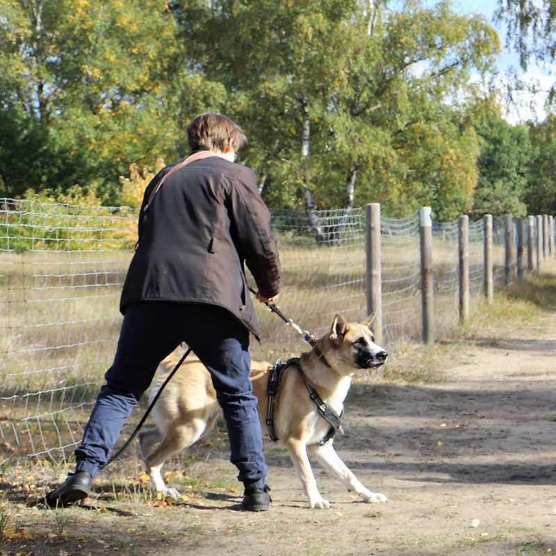 Social Walk im Kreis Wesel & Schermbeck
