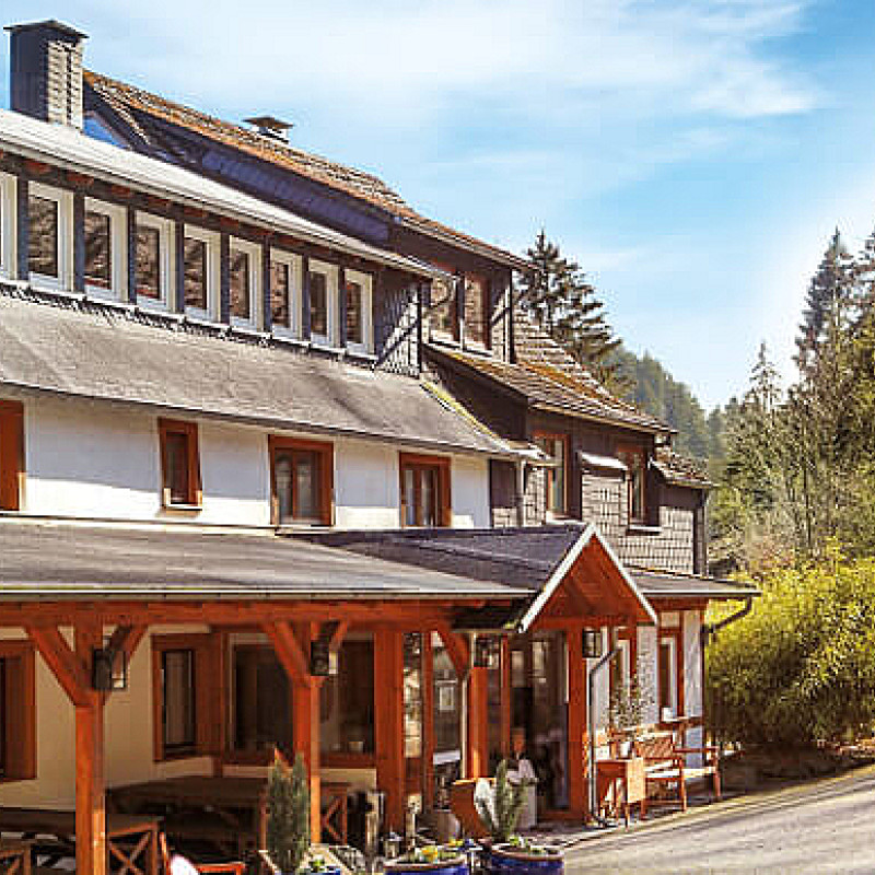 Hundeurlaub im Sauerland (Herbst)