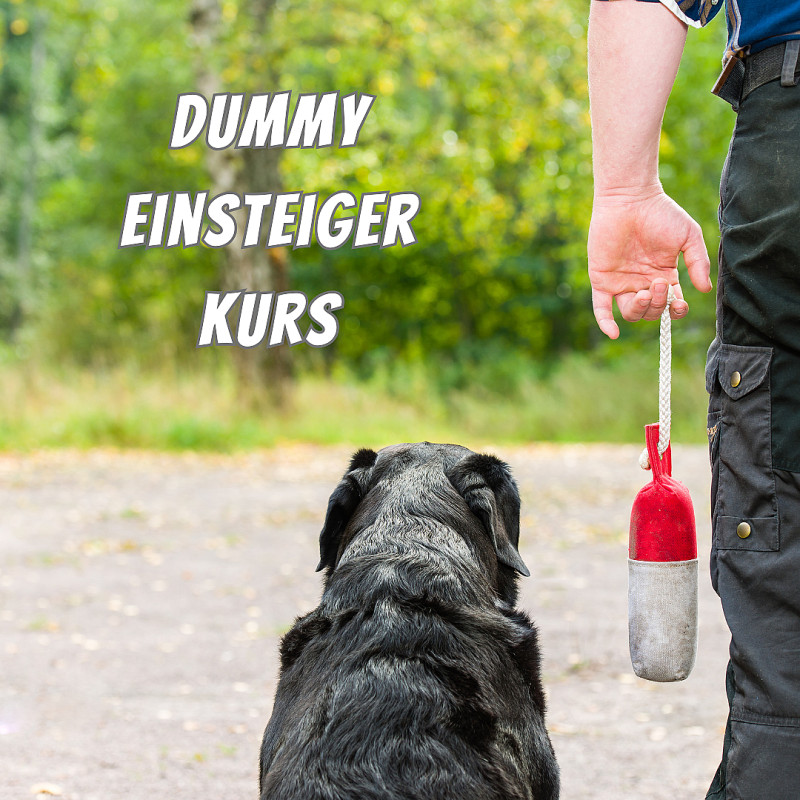 Dummy Einsteiger Kurs in Dinslaken