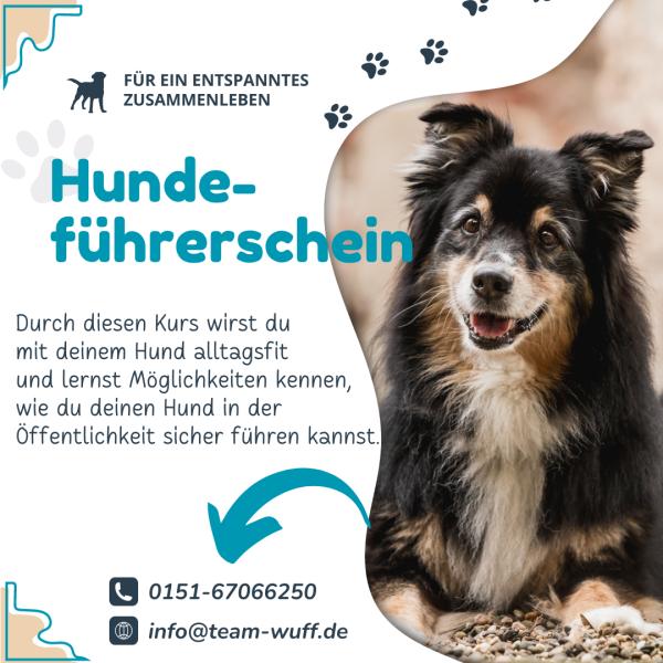 Kurs zum Hundeführerschein in Schermbeck