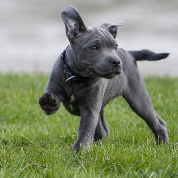 Youngster Spielgruppe - spielerisch lernen von Anfang an