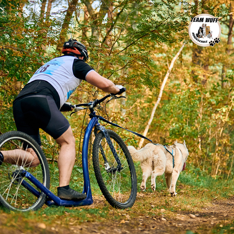 Dogscooter Einsteiger Kurs