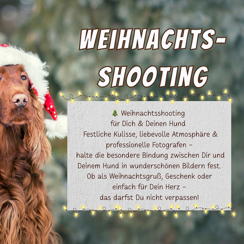Weihnachtsshooting