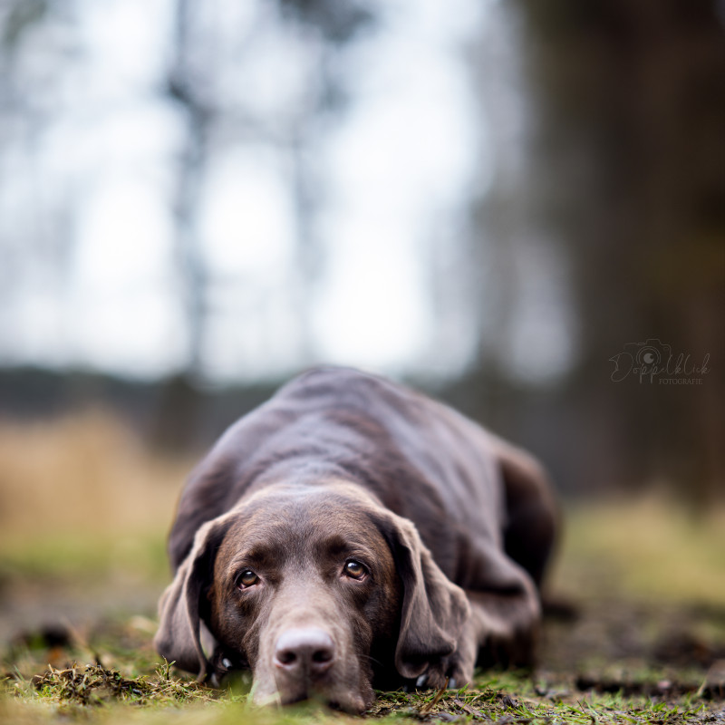 Senioren Fotoshooting