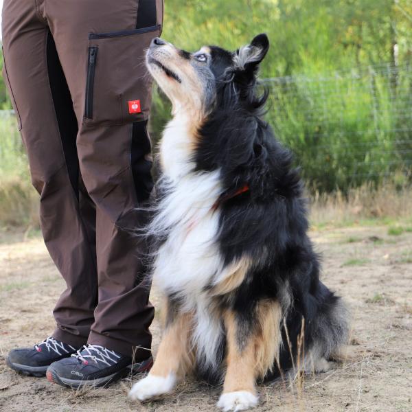 Grunderziehung-Intensivkurs in Borken– Sicher und souverän durch den Alltag!