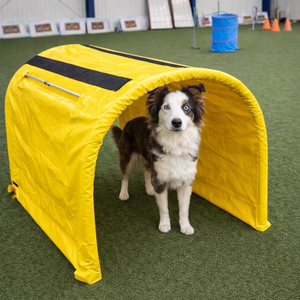 Hoopers Einsteiger Kurs