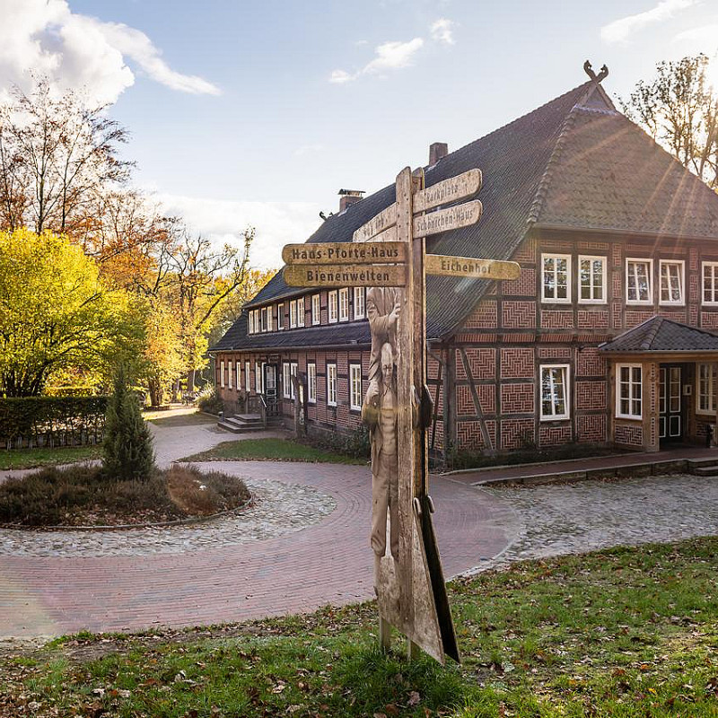 Hundeurlaub in der Lüneburger Heide (Frühjahr)