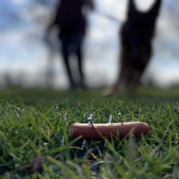 Anti-Giftköder-Kurs in Schermbeck