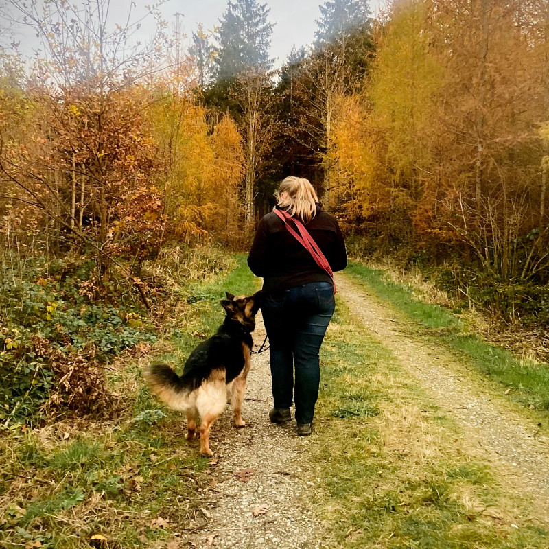 Orientierung am Menschen
