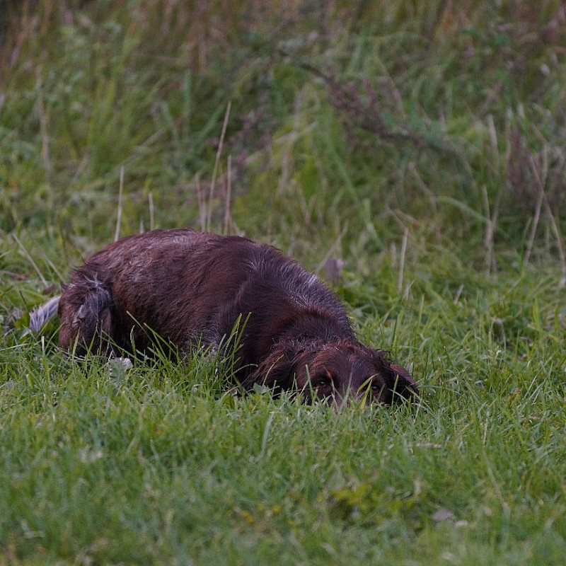 VGP / VPS Vorbereitungskurs