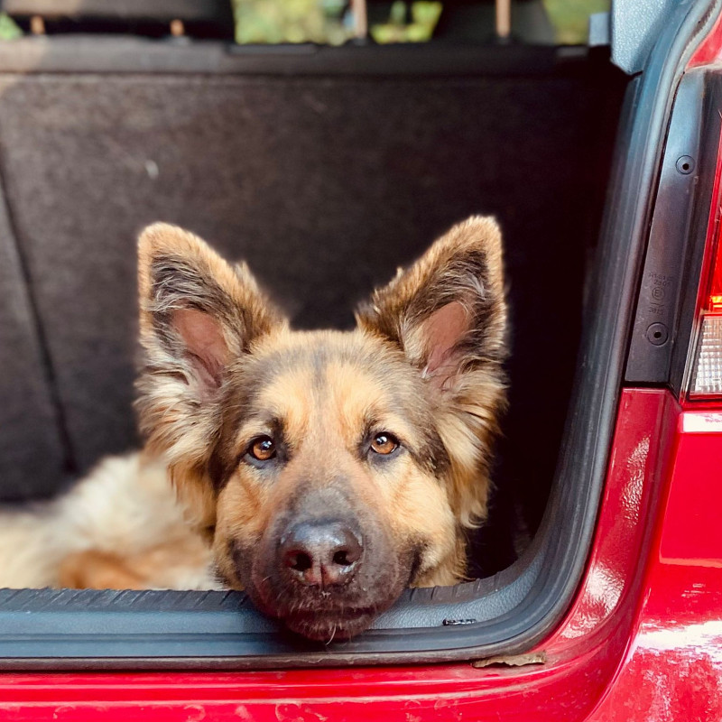 Alltagstrainings-Gruppe