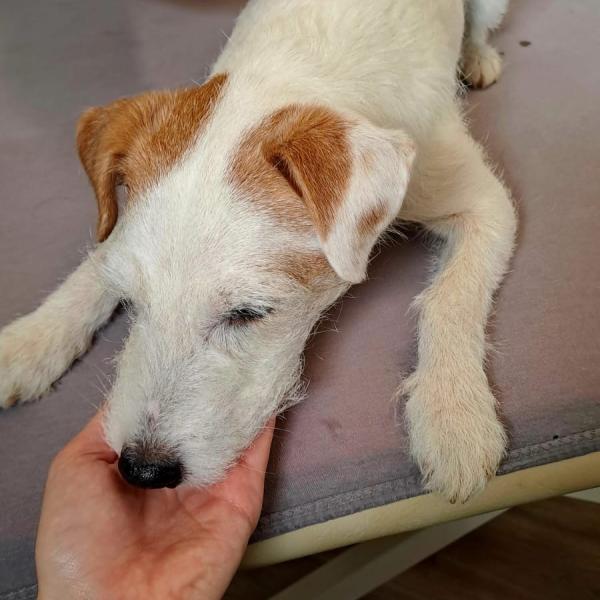 Medical Training Onlinetraining