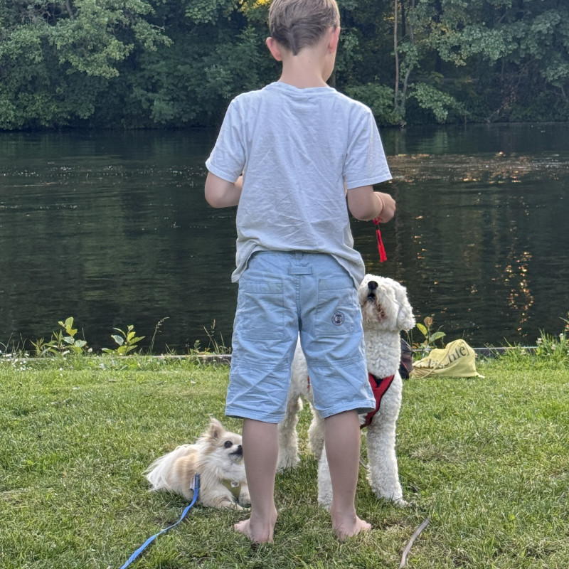 🐾 Pfotenfreunde in Aktion - Kindergruppe