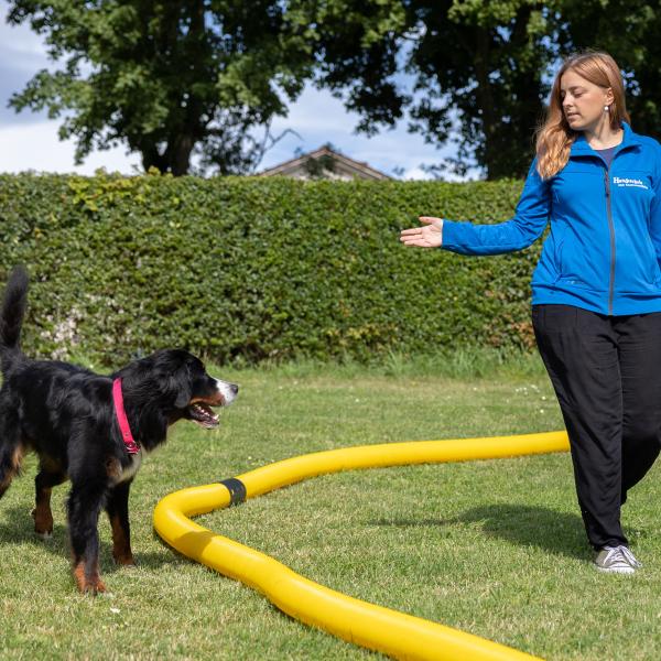 Longieren Sonntags - FLongieren-2507