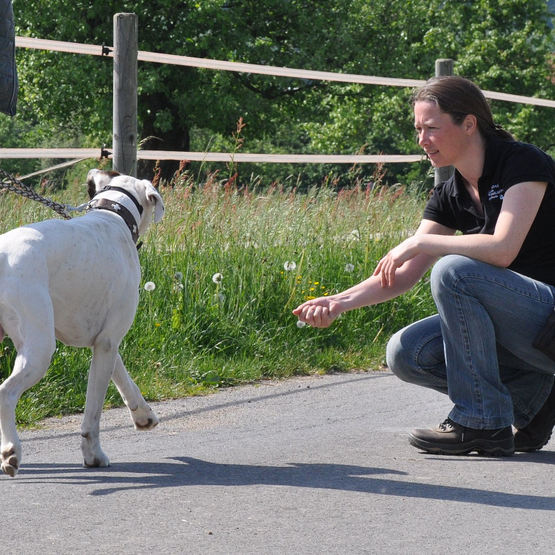 Basiskurs Samstag - FBasis-2604 bis 11.07.26