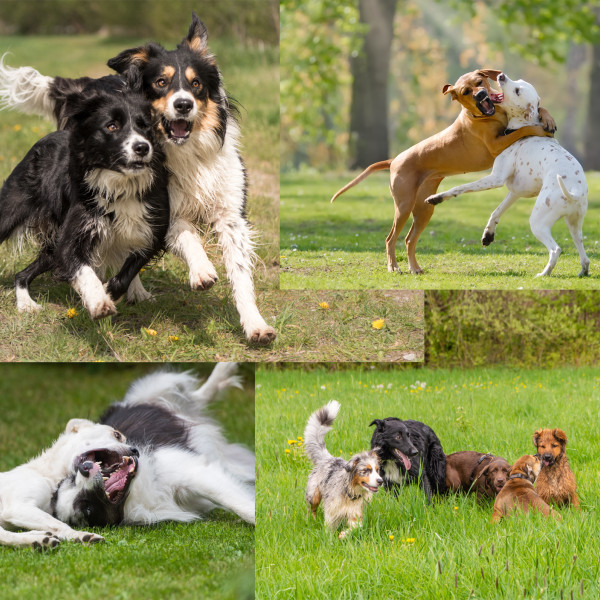 Sozialkontakt & Aushalten