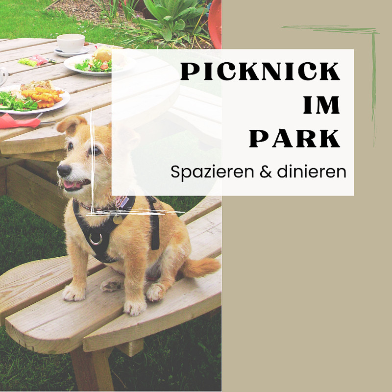 Picknick im Park