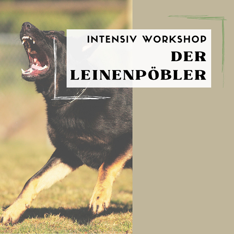 Intensiv-Workshop: Der Leinenpöbler