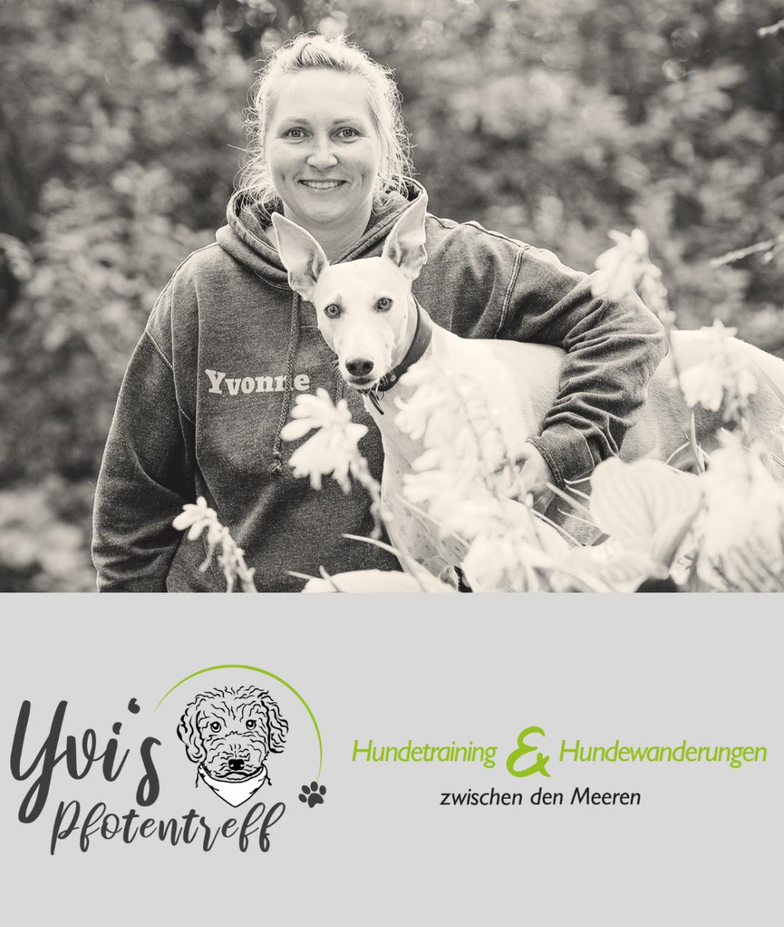 Deine Hundeschule zwischen den Meeren