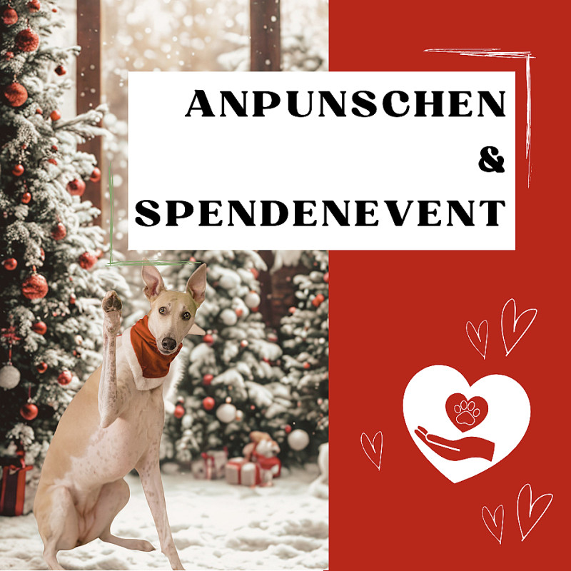Anpunschen & Spendenevent