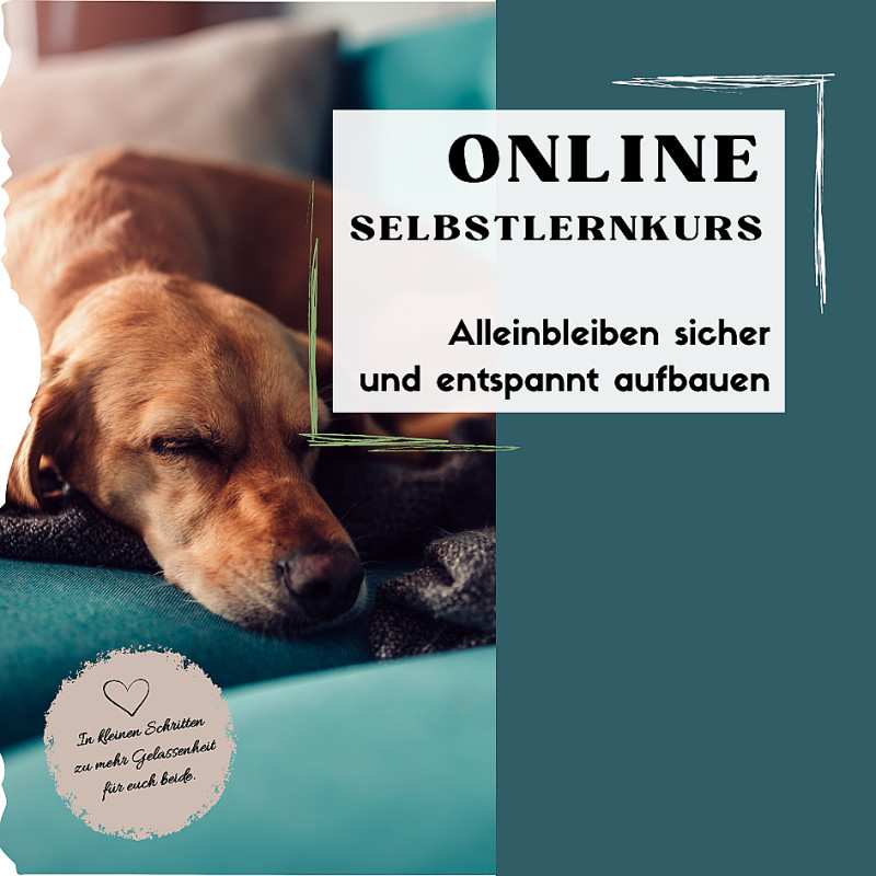 Allein bleiben sicher und entspannt aufbauen
