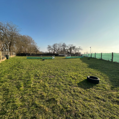 Kein Trainer vor Ort