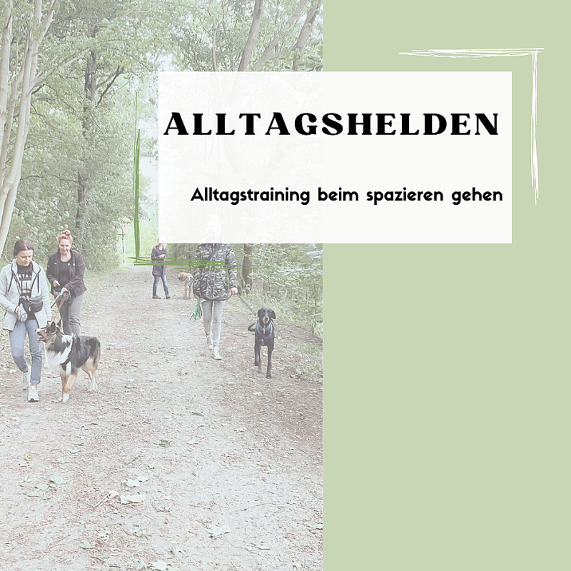 Alltagshelden