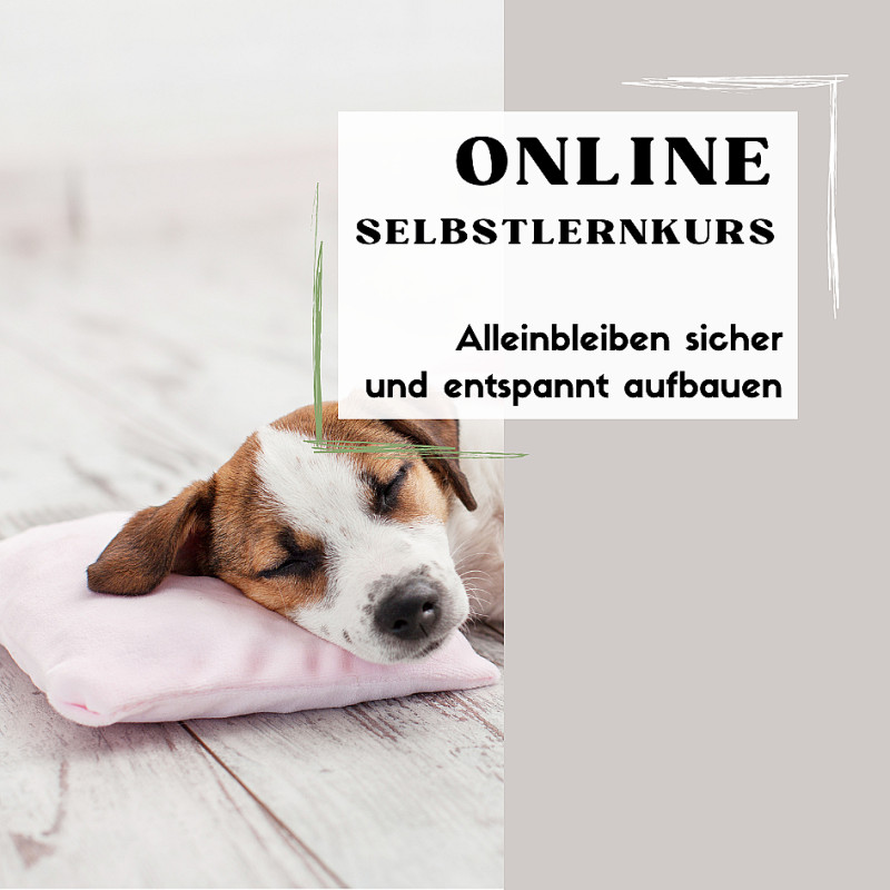 Online Selbstlernkurs