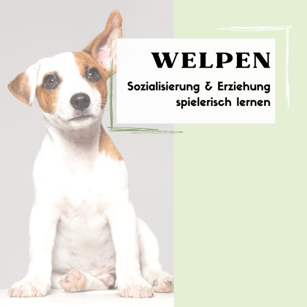 Welpengruppe - Sonntag