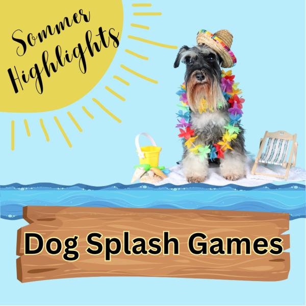 Sommer Highlight - Dog Splash Games