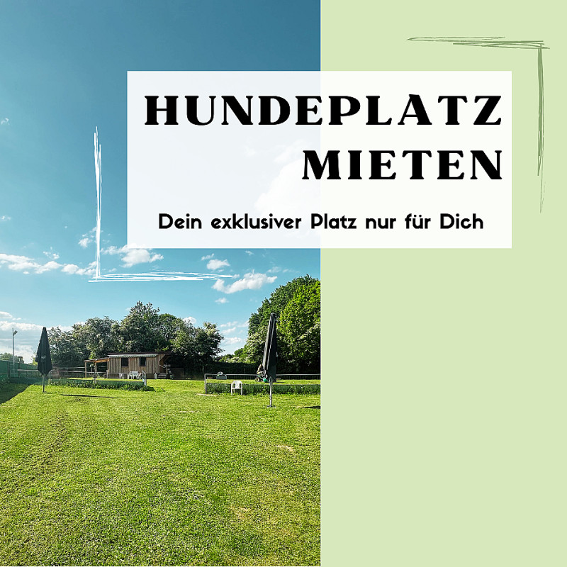 Hundeplatz mieten