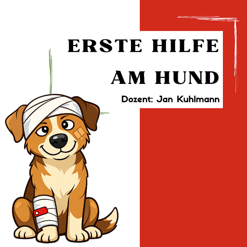 Erste Hilfe am Hund