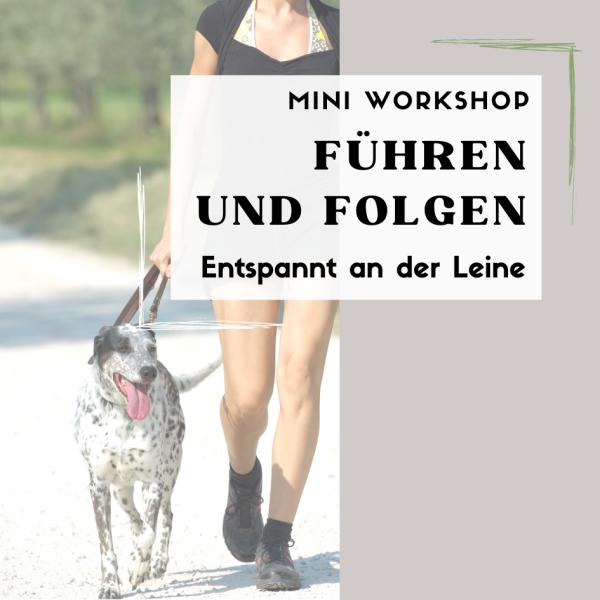 Entspannt an der Leine - Führen & Folgen