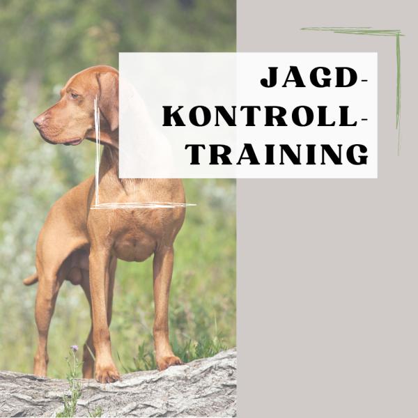 Jagd-Kontroll-Training