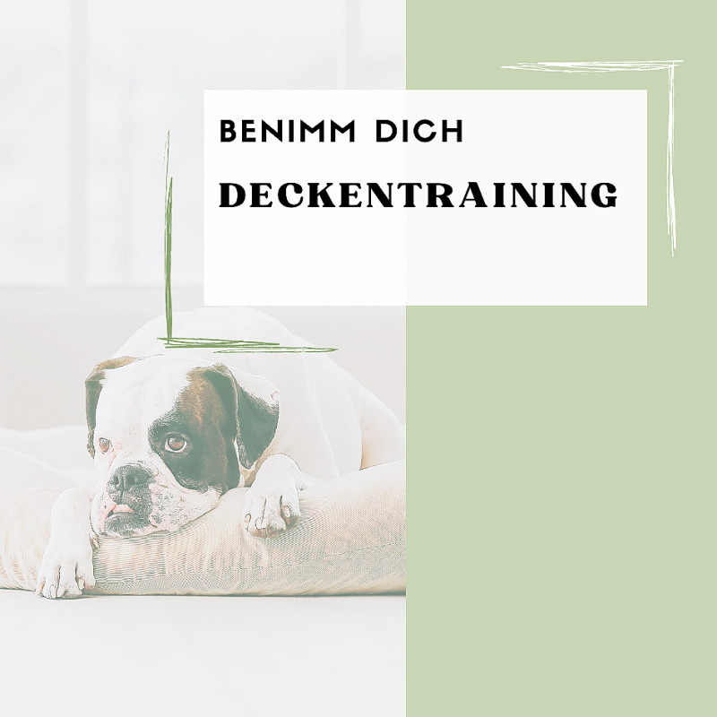 Deckentraining