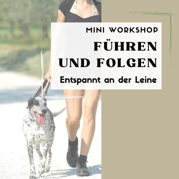 Entspannt an der Leine - Führen & Folgen