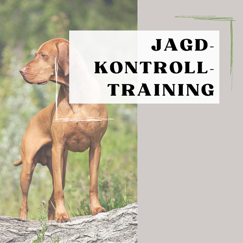 Jagd-Kontroll-Training