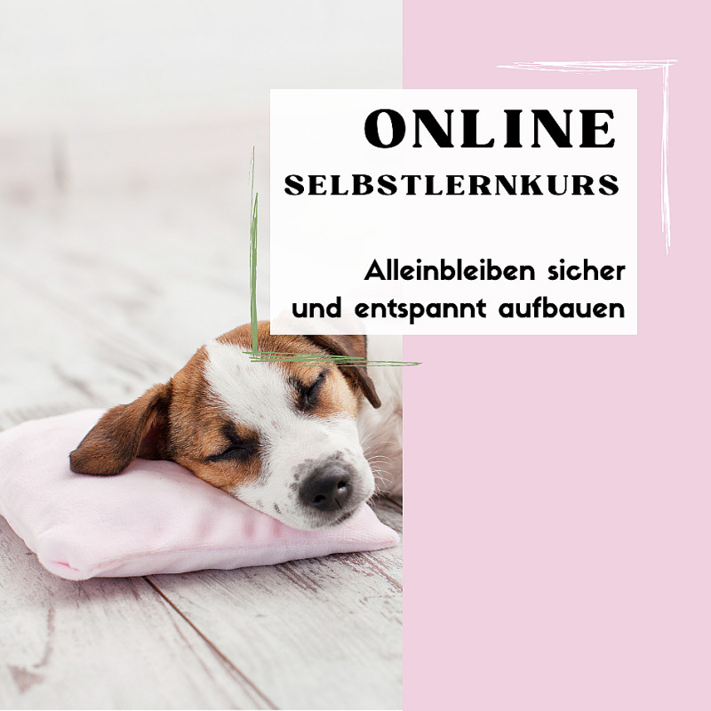 Allein bleiben sicher und entspannt aufbauen