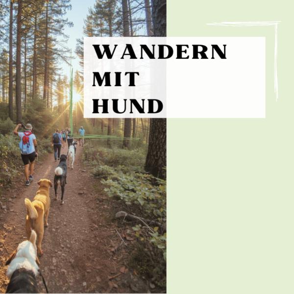 Hundewanderung