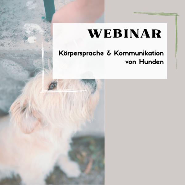 Webinar: Körpersprache & Kommunikation von Hunden