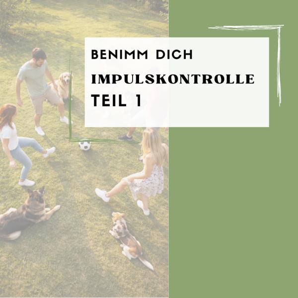 Impulskontrolle