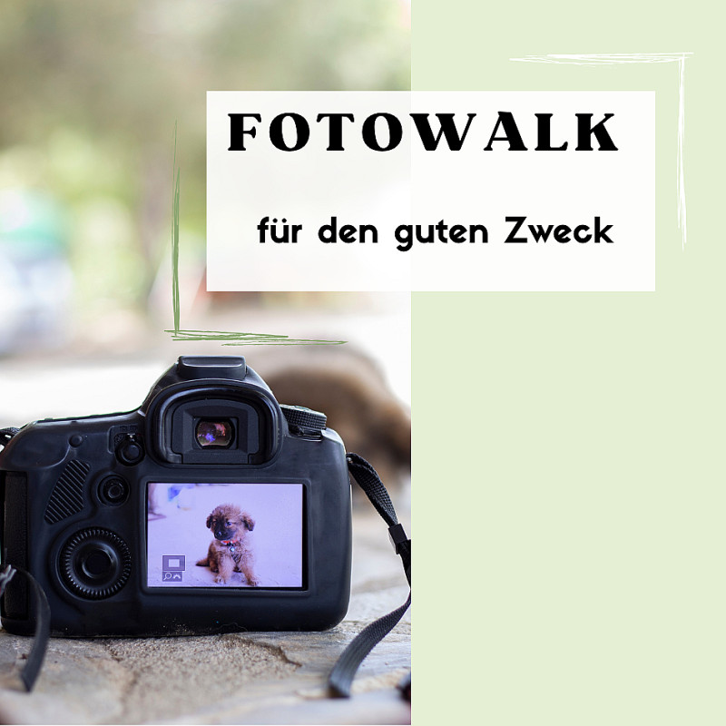 Fotowalk für den guten Zweck